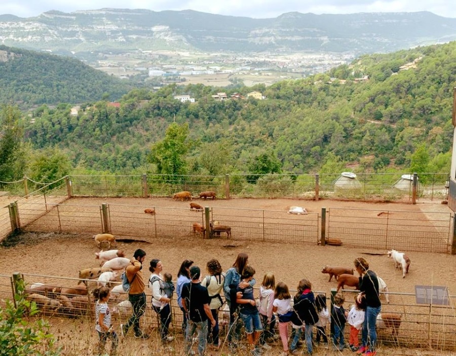 catalogne ferme 