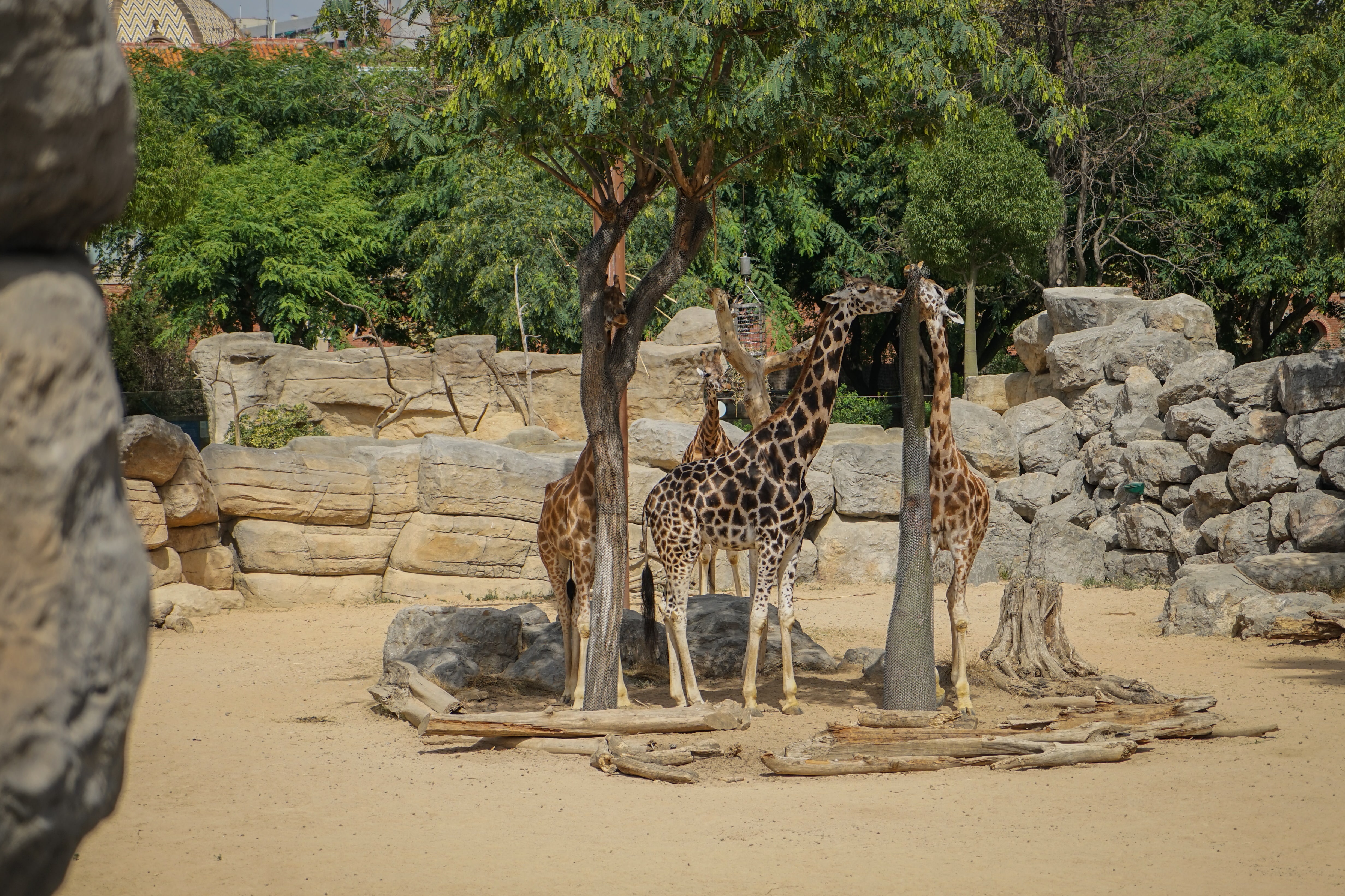 Zoo de Barcelone