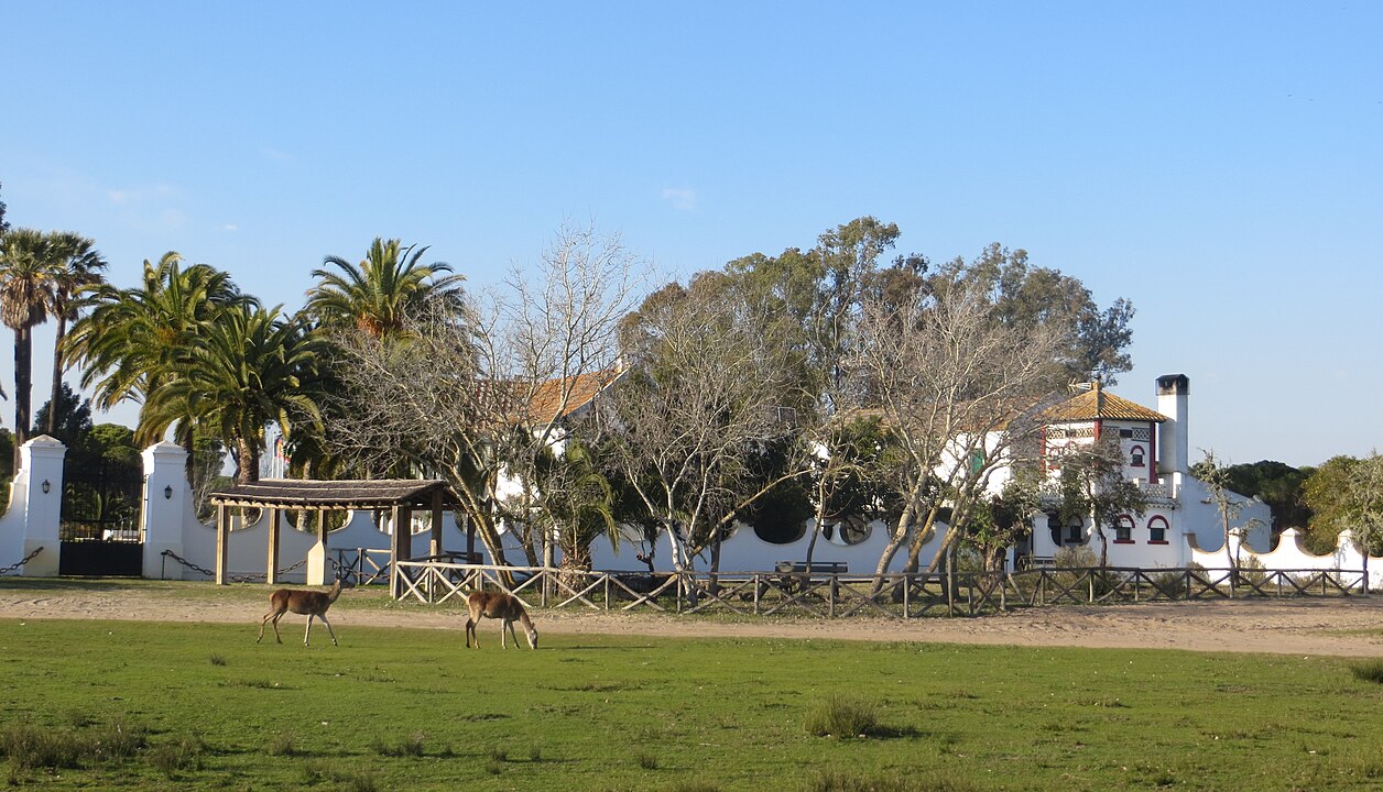 1256px Palacio de las Marismillas de Donana