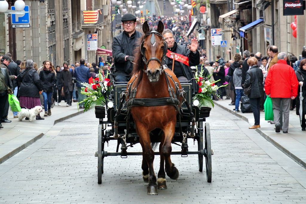 Festa Major de Sant Antoni. Tres Tombs